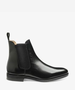 Cruiseon.shop713533b31f 1